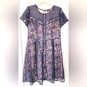 Oasis Blue Lace Top